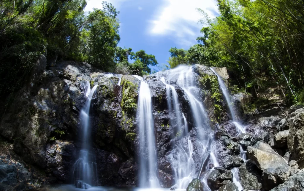Argyle Waterfall tobago scaled e1744235969717