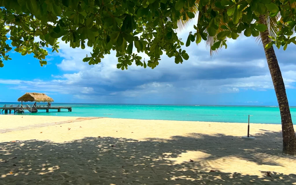 Pigeon Point tobago scaled e1744235696290